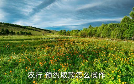 去农业银行预约要带什么,农业银行纪念币预约查询