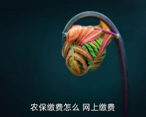 怎么在网上购买农业保险