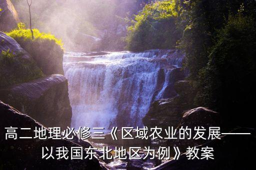 高二地理必修三《区域农业的发展——以我国东北地区为例》教案