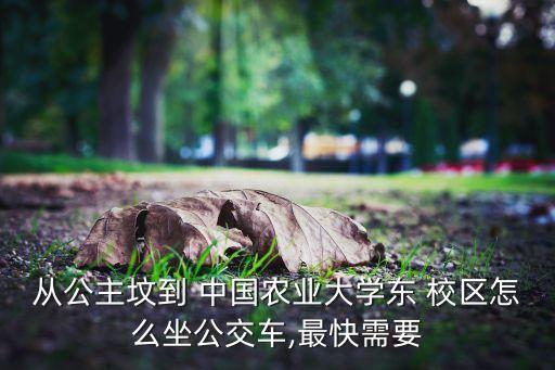 中国农业大学东校区怎么去,去中国农业大学西校区怎么走