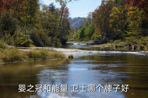 婴之冠和能量 卫士哪个牌子好