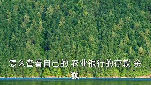 怎么查看自己的 农业银行的存款 余额