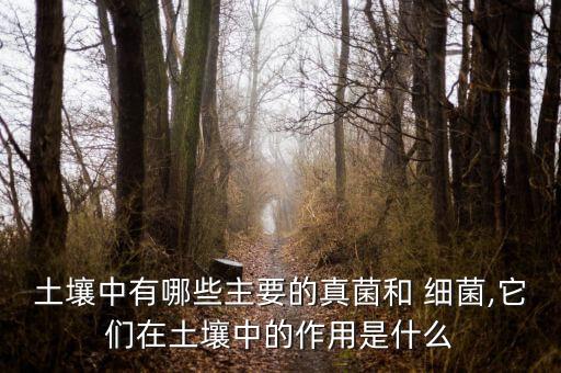 农业细菌有什么,农业杀细菌最好的药