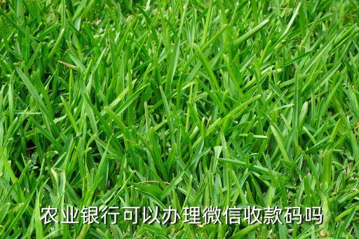 农业银行支付二维码怎么弄
