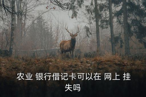  农业 银行借记卡可以在 网上 挂失吗