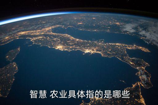 智慧农业项目评审表怎么填
