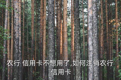 怎么取消农业信用卡,如何取消农业信用卡注销