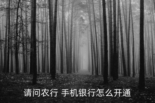 手机农业银行怎么正确打开,小米手机打开农业银行闪退