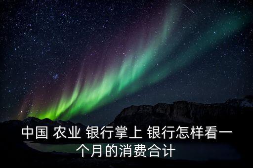 农业手机银行怎么查月账单