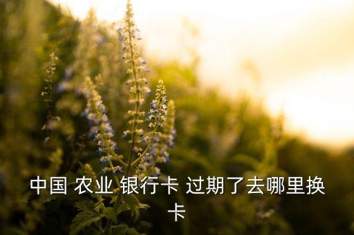 农业银行卡怎么卡过期,身份证过期了农业银行卡怎么更新
