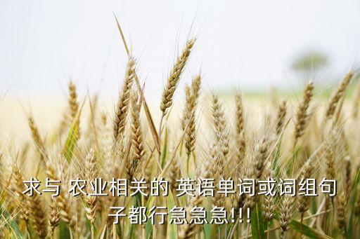 农业英语 怎么说,玉溪农业职业技术学院用英语怎么说