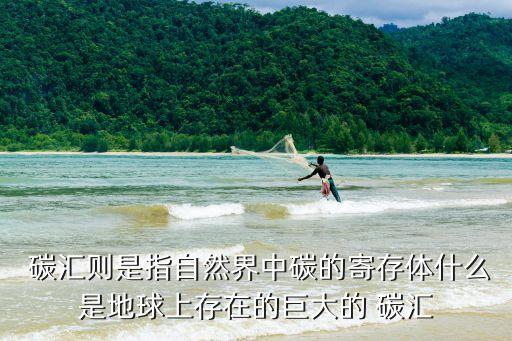 农业碳汇是什么东西,碳汇交易是什么意思