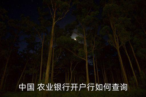 农业银行怎么查看网点,青岛农业银行网点地址查询