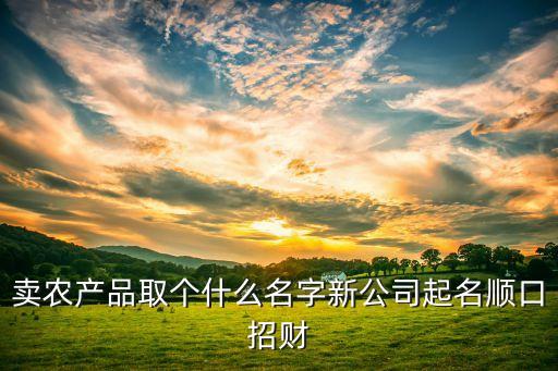 卖农产品取个什么名字新公司起名顺口招财