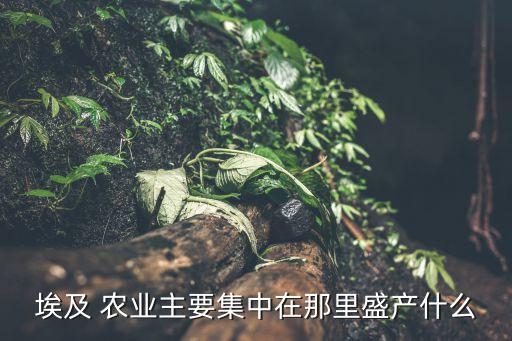 尼罗河什么农业