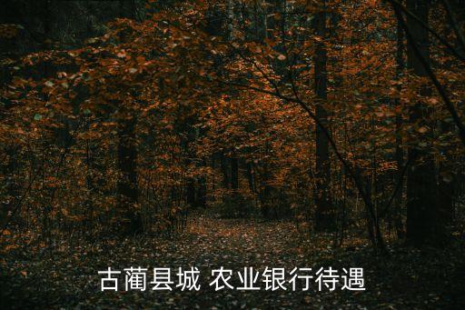 县里的农业银行怎么样,农业银行一个县里有几个支行