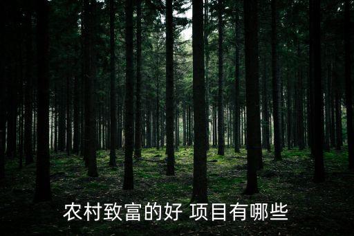 农村致富的好 项目有哪些