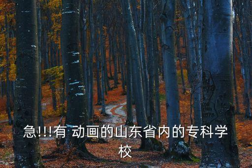 急!!!有 动画的山东省内的专科学校