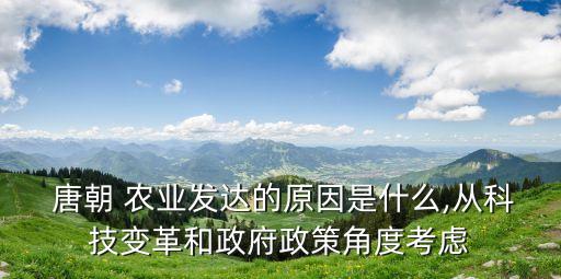 唐朝的农业怎么样,唐朝这个名字怎么样