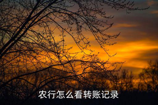 农业银行怎么查汇款