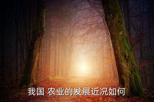 农业农村规划现状怎么写,农业大学生的未来规划怎么写