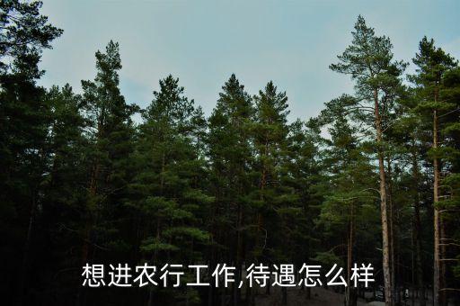 厦门农业银行怎么样啊好吗,上海农业银行工资待遇怎么样