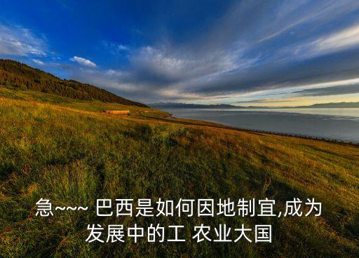 急~~~ 巴西是如何因地制宜,成为发展中的工 农业大国