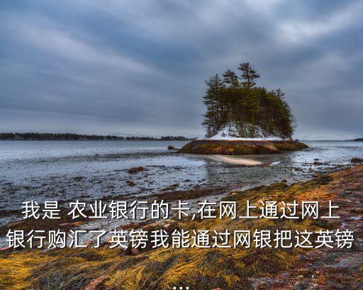 农业银行电脑怎么国外汇款,国外汇款到农业银行需要提供哪些资料