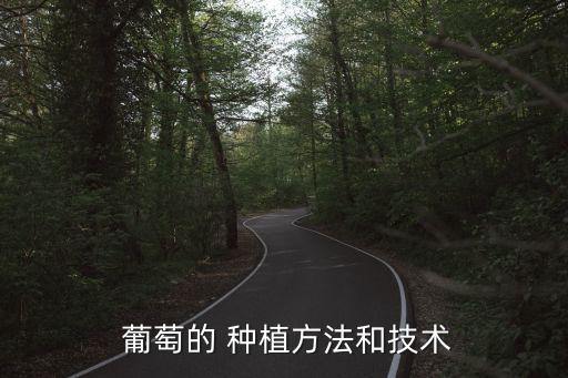 设施农业大棚怎么种植葡萄,大棚葡萄属于设施农业吗