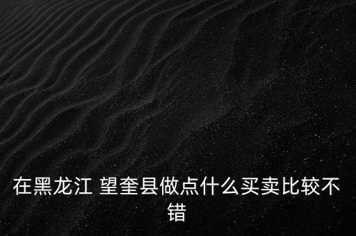 在黑龙江 望奎县做点什么买卖比较不错