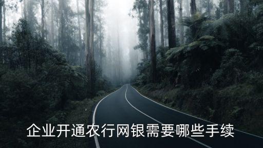 中国农业银行标准版是什么,abc中国农业银行是什么意思