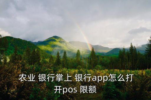 农业手机银行查限额怎么查,农业银业手机掌上银行