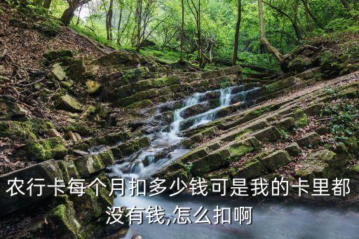 农业银行怎么收月费