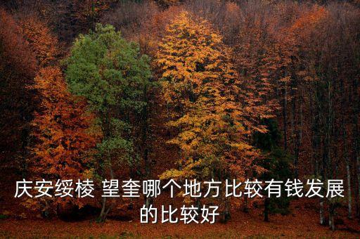 庆安绥棱 望奎哪个地方比较有钱发展的比较好