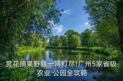 农业公园主题分区图怎么画