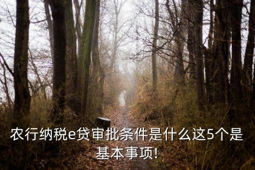 农业银行税金贷怎么申请