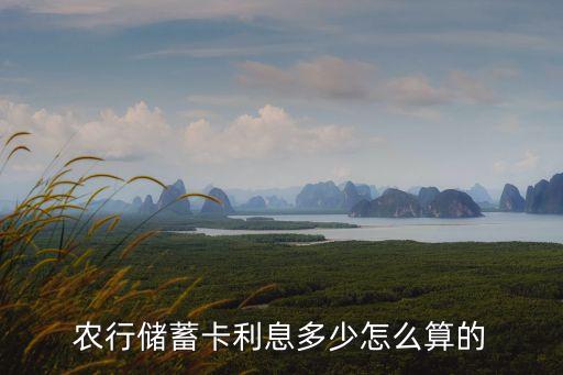 农业银行存钱怎么收费