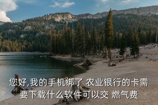 农业银行怎么充值燃气费,手机农业银行怎么交燃气费