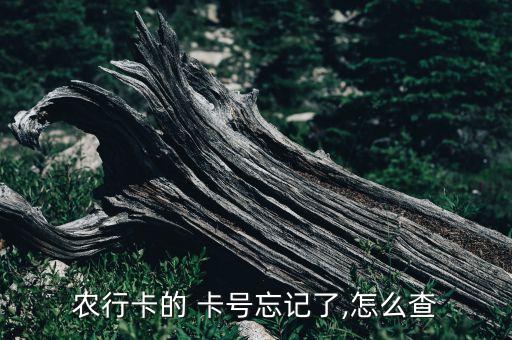 农行卡的 卡号忘记了,怎么查