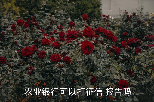 农业报告怎么拍照软件打印