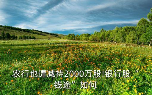 农业银行退市怎么办