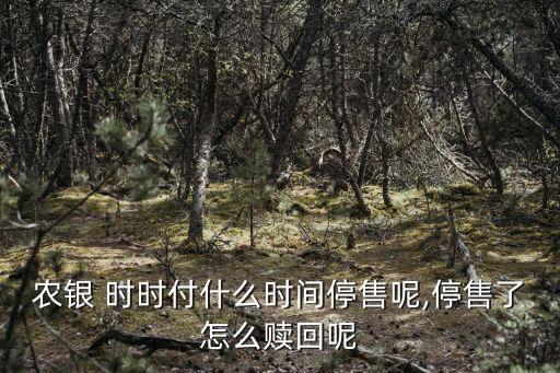 农业银行时时付怎么开通