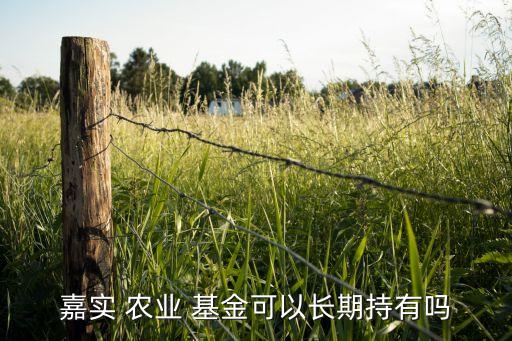 嘉实 农业 基金可以长期持有吗