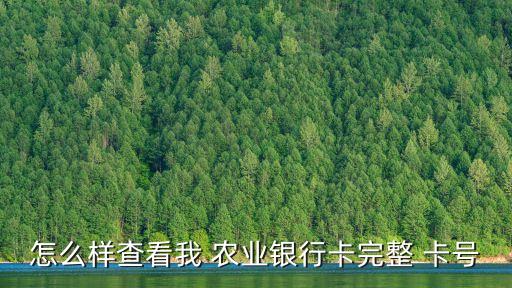 怎么样查看我 农业银行卡完整 卡号
