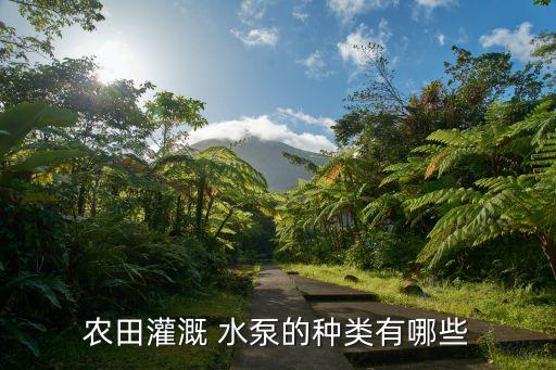 农业滴灌水泵怎么选择