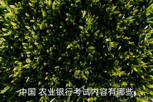 中国 农业银行考试内容有哪些