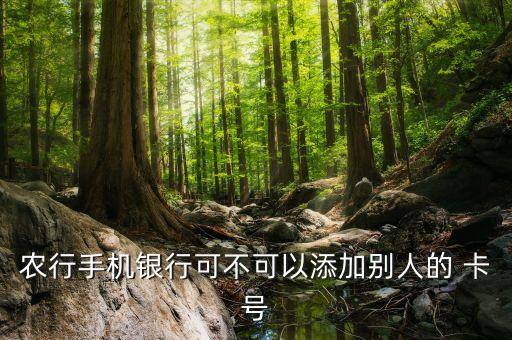 农业银行怎么复制卡号,怎么知道农业银行卡号