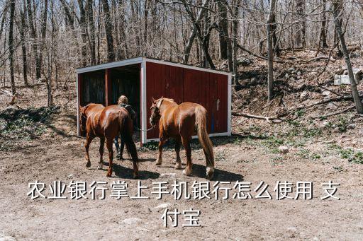 农业的支付宝怎么找不到,支付宝朋友圈怎么找不到了