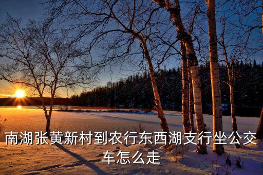 农业银行洪山之行怎么走,武汉农业银行洪山支行