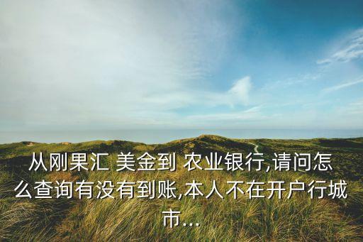 农业银行怎么查美金到账,怎么查自己有没有农业银行